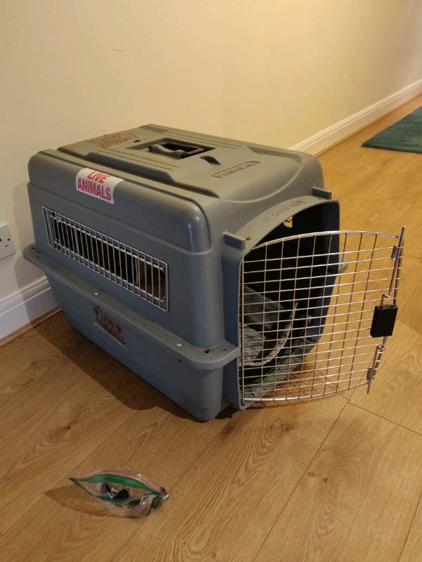 sky kennel medium dimensions